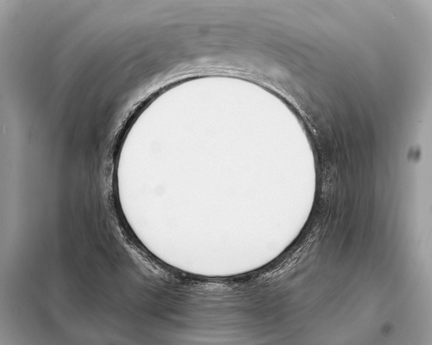 X0000098101507200805021057