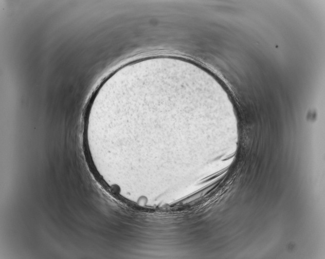X0000098101508200805021057