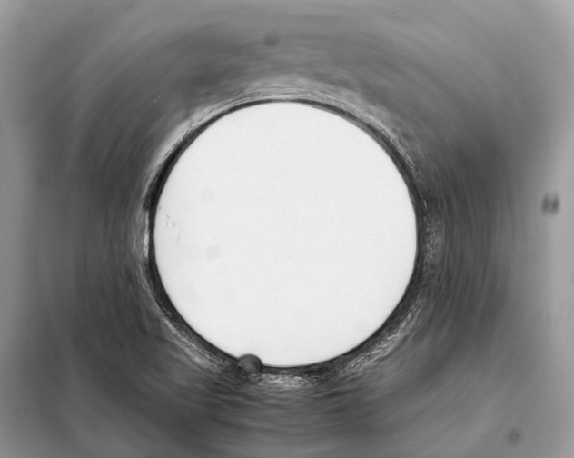 X0000098101509200805021057