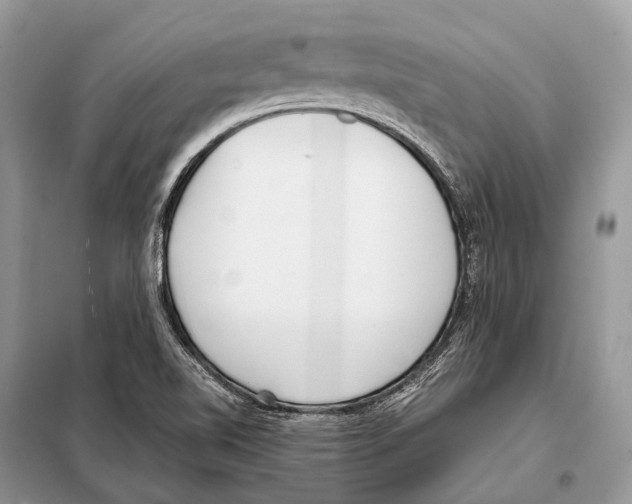 X0000098101510200805021057