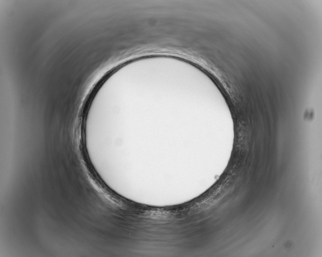 X0000098101511200805021057