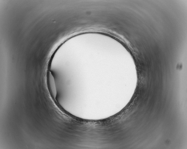 X0000098101512200805021057
