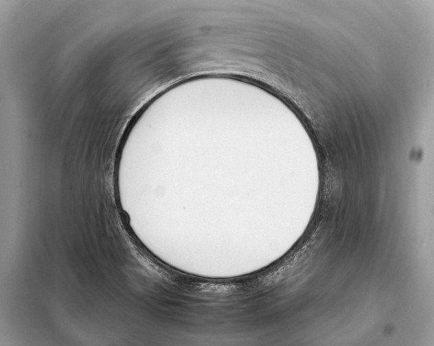 X0000098101513200805021057