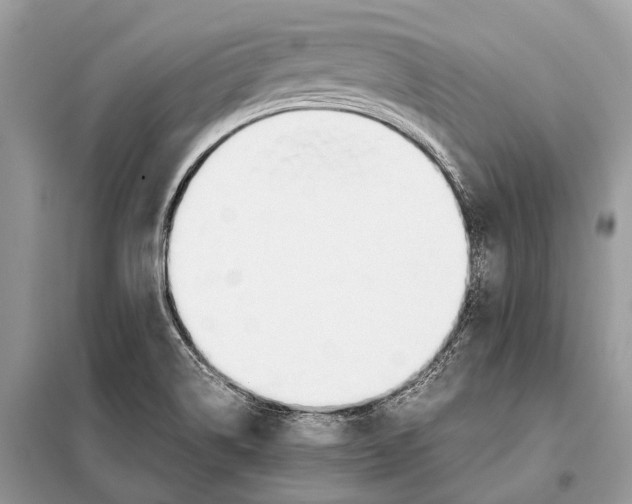 X0000098101514200805021057