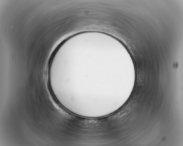 X0000098101515200805021057