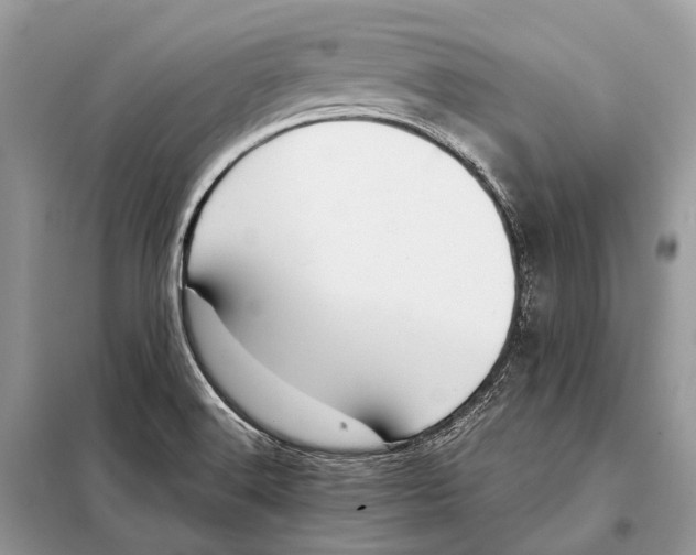 X0000098101516200805021057