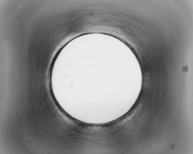 X0000098101517200805021057