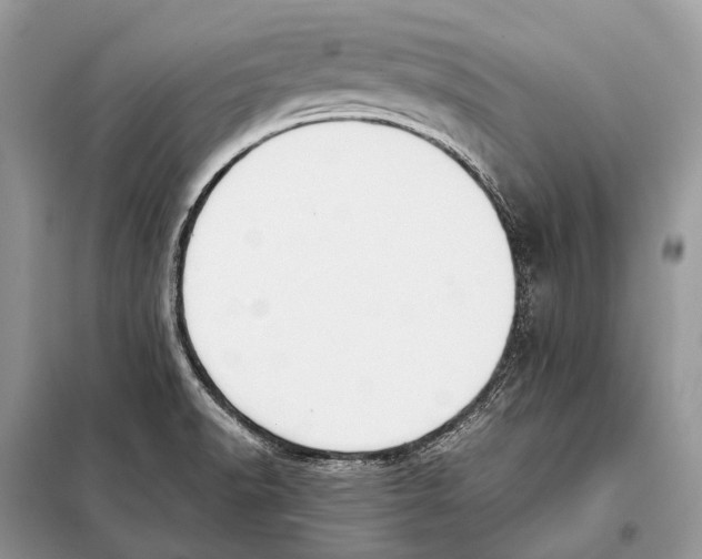 X0000098101518200805021057
