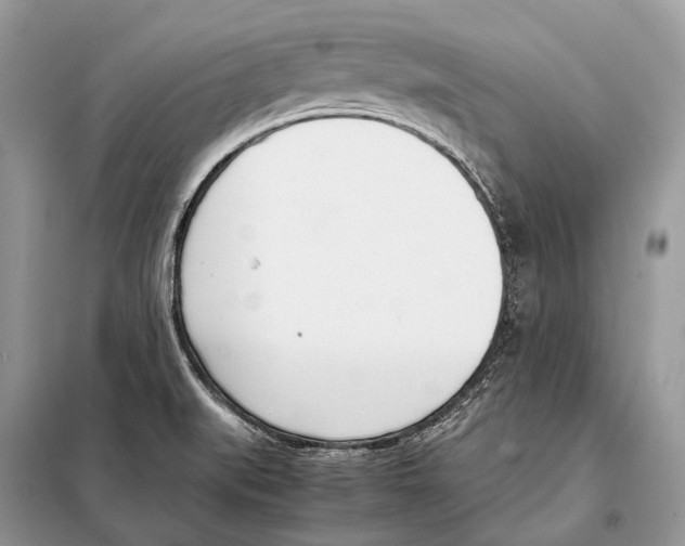 X0000098101519200805021057