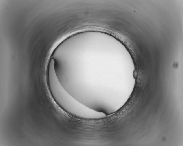 X0000098101520200805021057