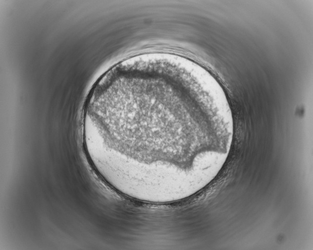 X0000098101522200805021057