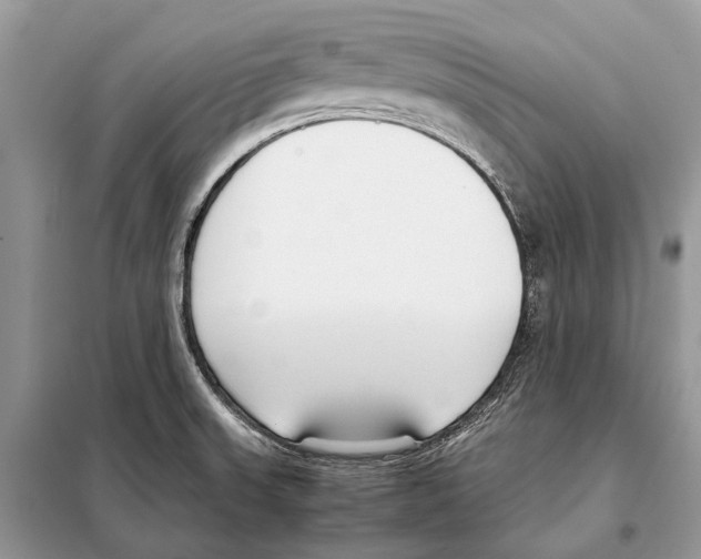 X0000098101523200805021057