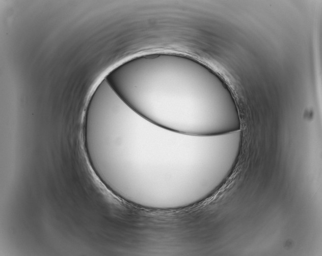 X0000098101524200805021057