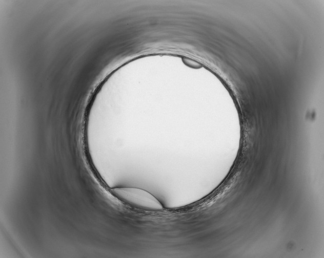 X0000098101525200805021057