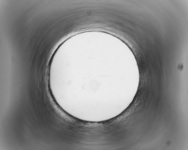 X0000098101526200805021057