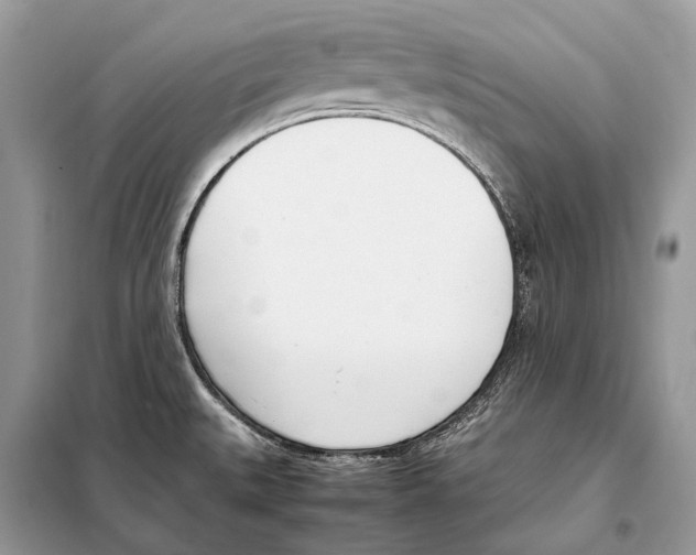 X0000098101527200805021057