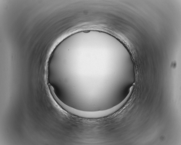 X0000098101528200805021058