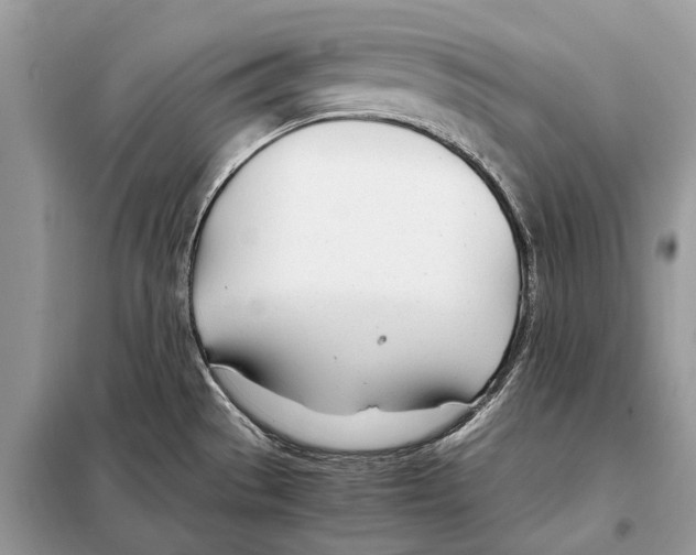 X0000098101529200805021058