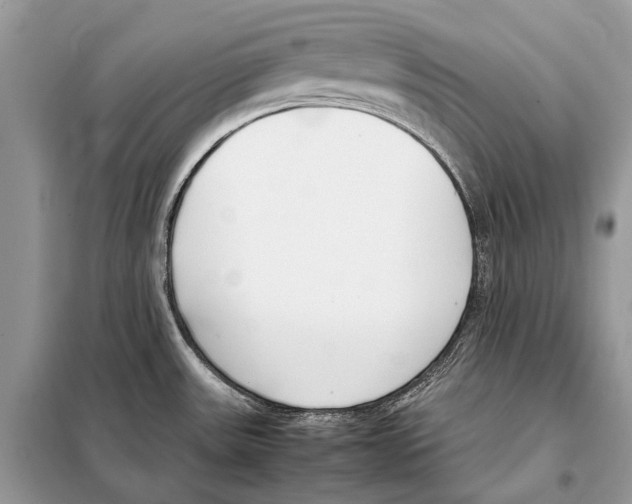 X0000098101531200805021058