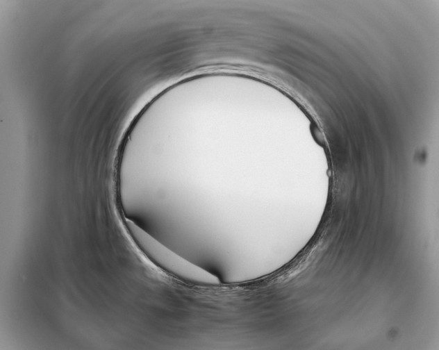 X0000098101533200805021058
