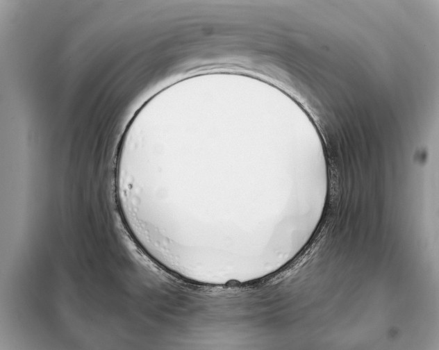 X0000098101534200805021058