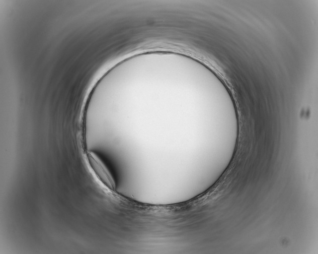 X0000098101536200805021058