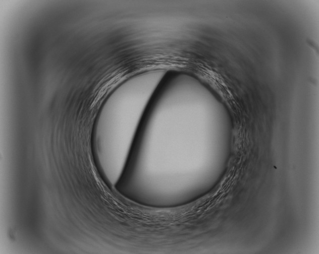 X0000098110001200804040811