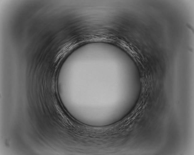 X0000098110002200804040811