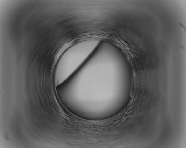 X0000098110003200804040811