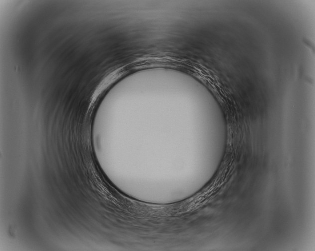 X0000098110004200804040811