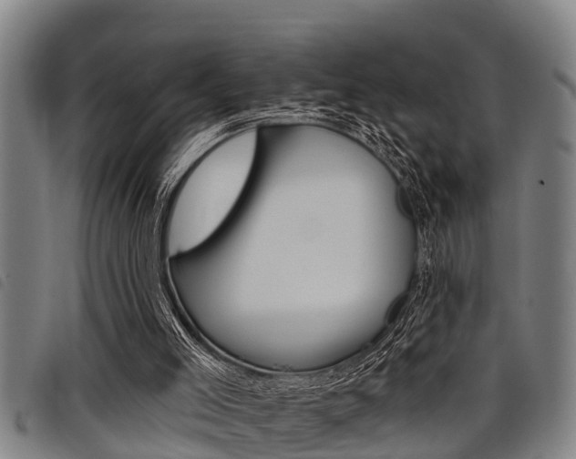 X0000098110005200804040811
