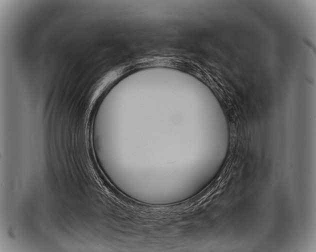X0000098110006200804040811