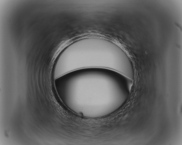 X0000098110007200804040811