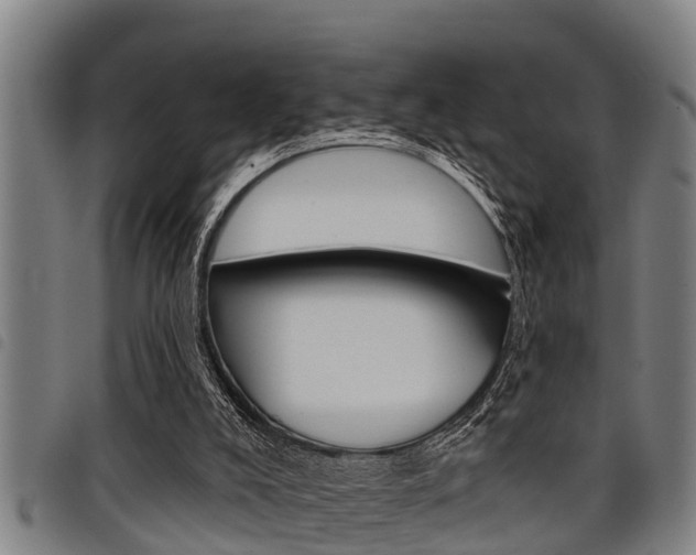 X0000098110008200804040811