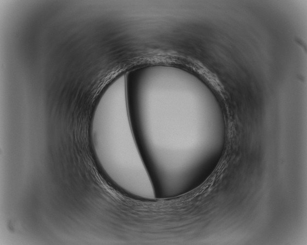 X0000098110009200804040811