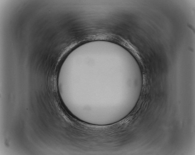 X0000098110012200804040811
