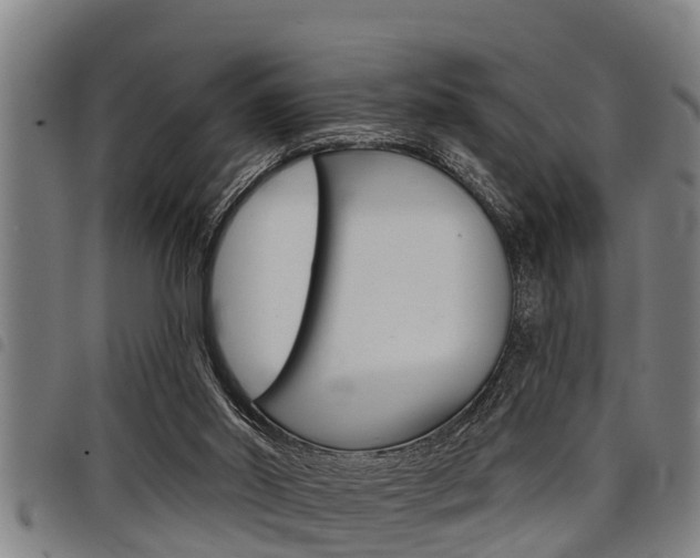 X0000098110014200804040811