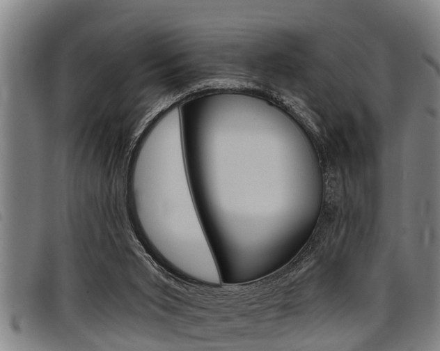X0000098110015200804040811
