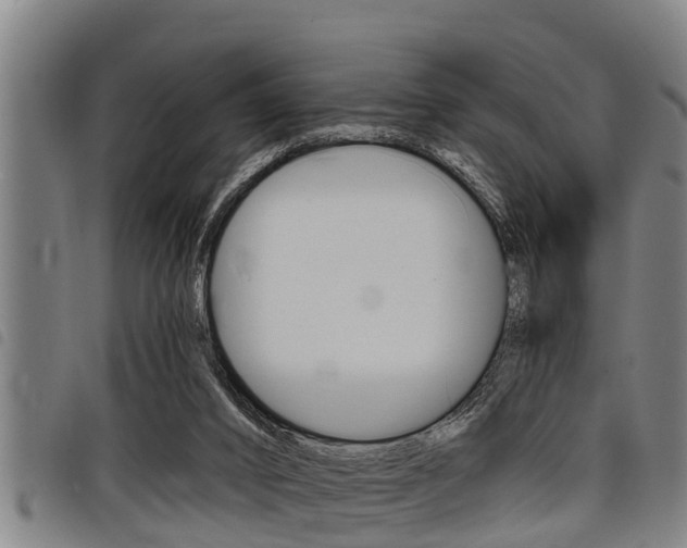 X0000098110016200804040811