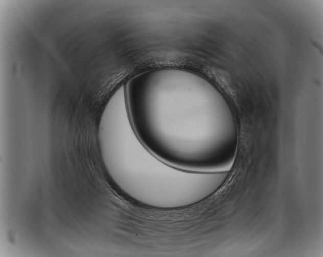 X0000098110017200804040811