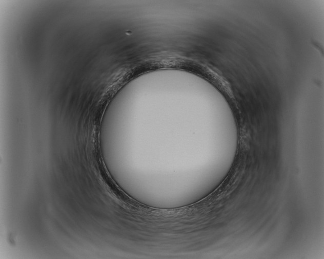 X0000098110018200804040811