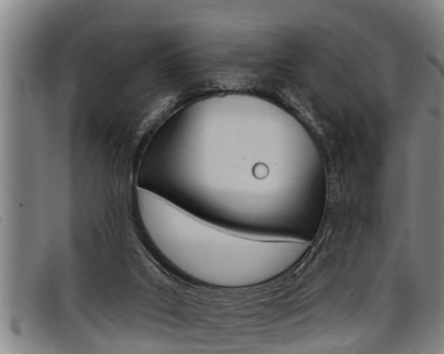 X0000098110019200804040811