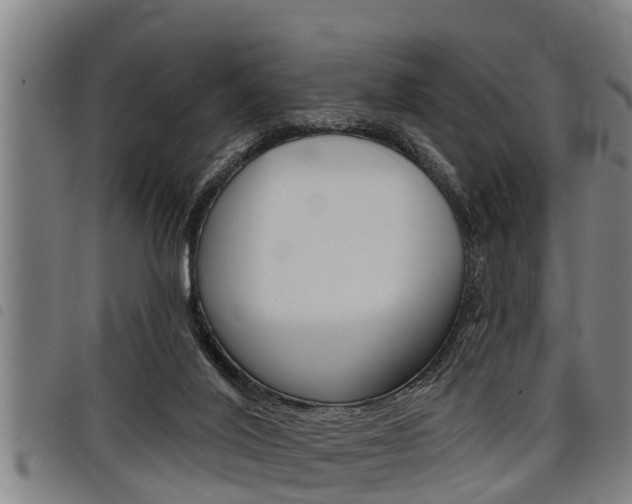 X0000098110020200804040811