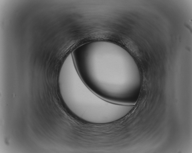X0000098110021200804040811
