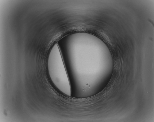 X0000098110023200804040811