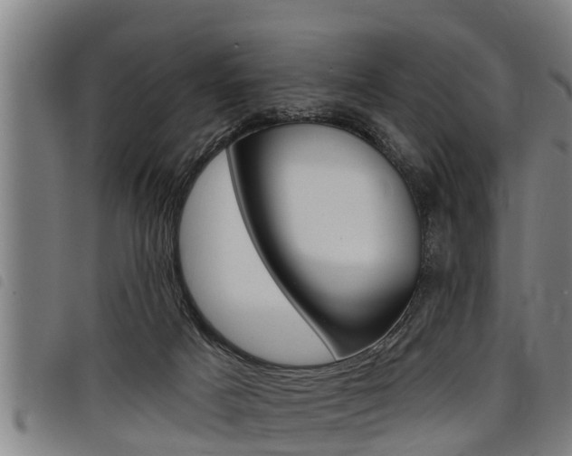 X0000098110025200804040811