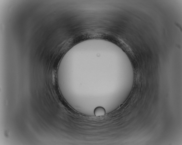 X0000098110026200804040811