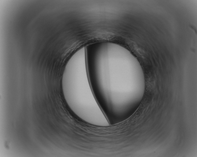 X0000098110027200804040811