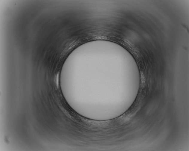 X0000098110028200804040811