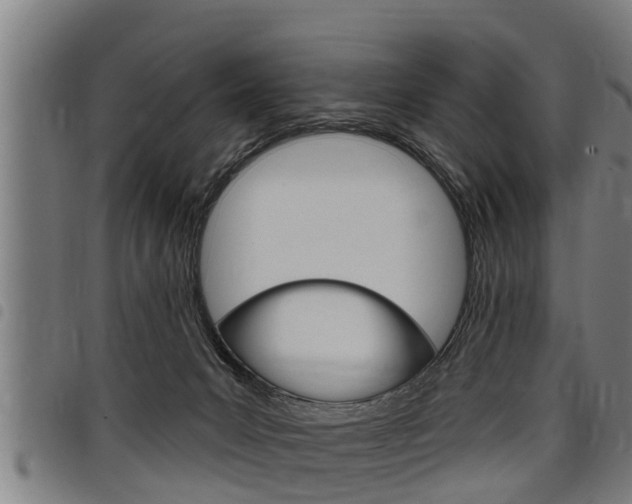 X0000098110031200804040811